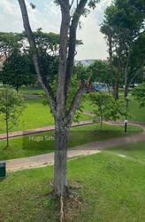 Thomson Garden Estate (D20), Terrace #289858361
